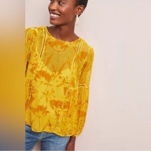 Anthropologie Meadow Rue Yolanda Velvet Burnout Peasant Blouse-12